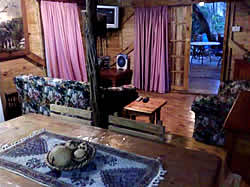 KZN accommodation - South Coast Accommodation - Hibberdene Accommodation - KZN Backpackers - Hibberdene Backpackers - Forrest Walk Backpackers