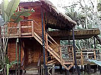 KZN accommodation - South Coast Accommodation - Hibberdene Accommodation - KZN Backpackers - Hibberdene Backpackers - Forrest Walk Backpackers