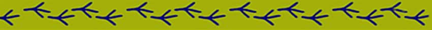 Sandpiper Cottages , 7 self catering cottages , Kwazulu Natal Accommodation , Scottburgh
