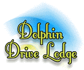 Dolphin Drive Lodge 