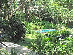Margate Accommodation - Margate B&B - Margate Self Catering - Treetops Lodge