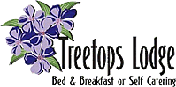 Margate Accommodation - Margate B&B - Margate Self Catering - Treetops Lodge
