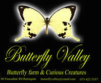 Butterfly Valley KZN